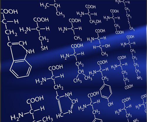 A blue diagram of amino acids.