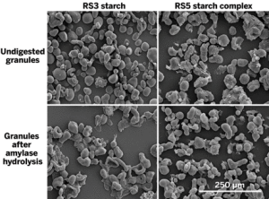 8849sci1more_live-1
