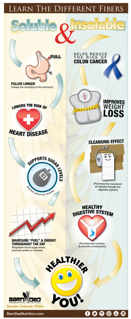 FIber_Inforgraphic