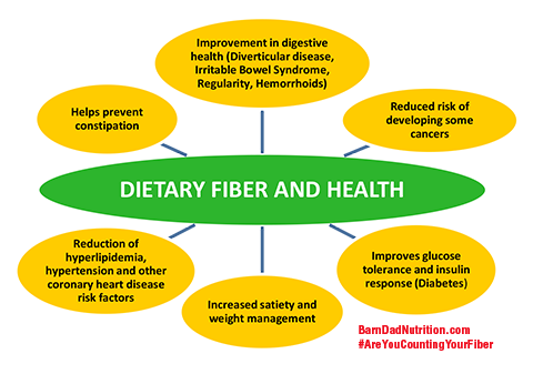Fiber & Your Health-BarnDad Fiber Shakes